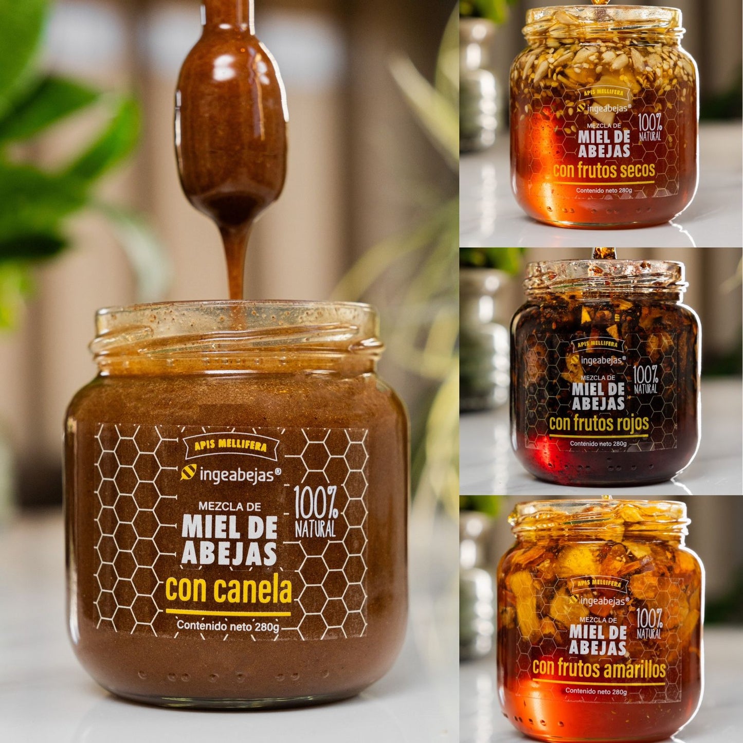 🍯 PROMO ESPECIAL INGEABEJAS 🍯